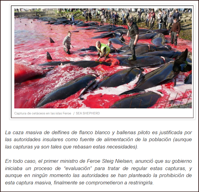  Contin&uacute;a la masacre de cet&aacute;ceos en las islas Feroe