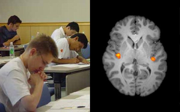 El miedo a las matem&aacute;ticas activa un dolor en el cerebro