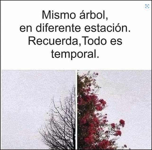  Todo es temporal