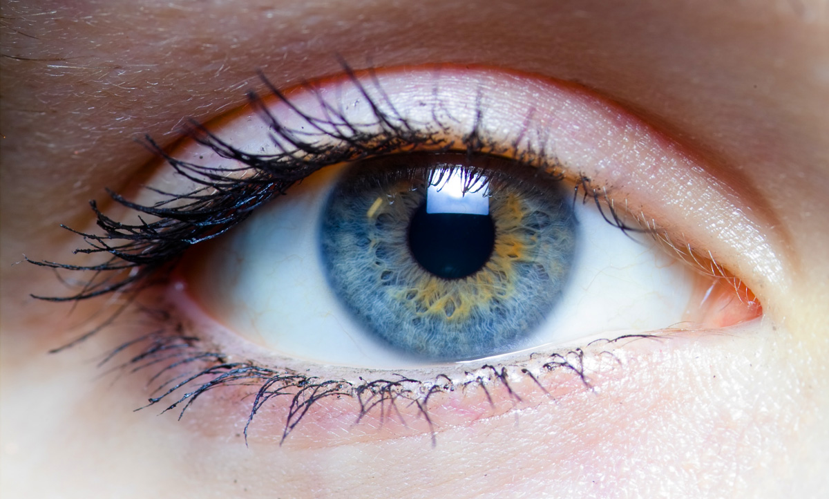 Experimento casero &iquest;tienes un ojo dominante?