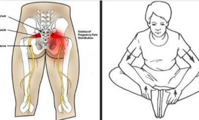 EJERCICIOS PARA SANAR EL DOLOR DEL NERVIO CIATICO, DOLOR DE CADERA Y ESPALDA Y LUBRICAR    