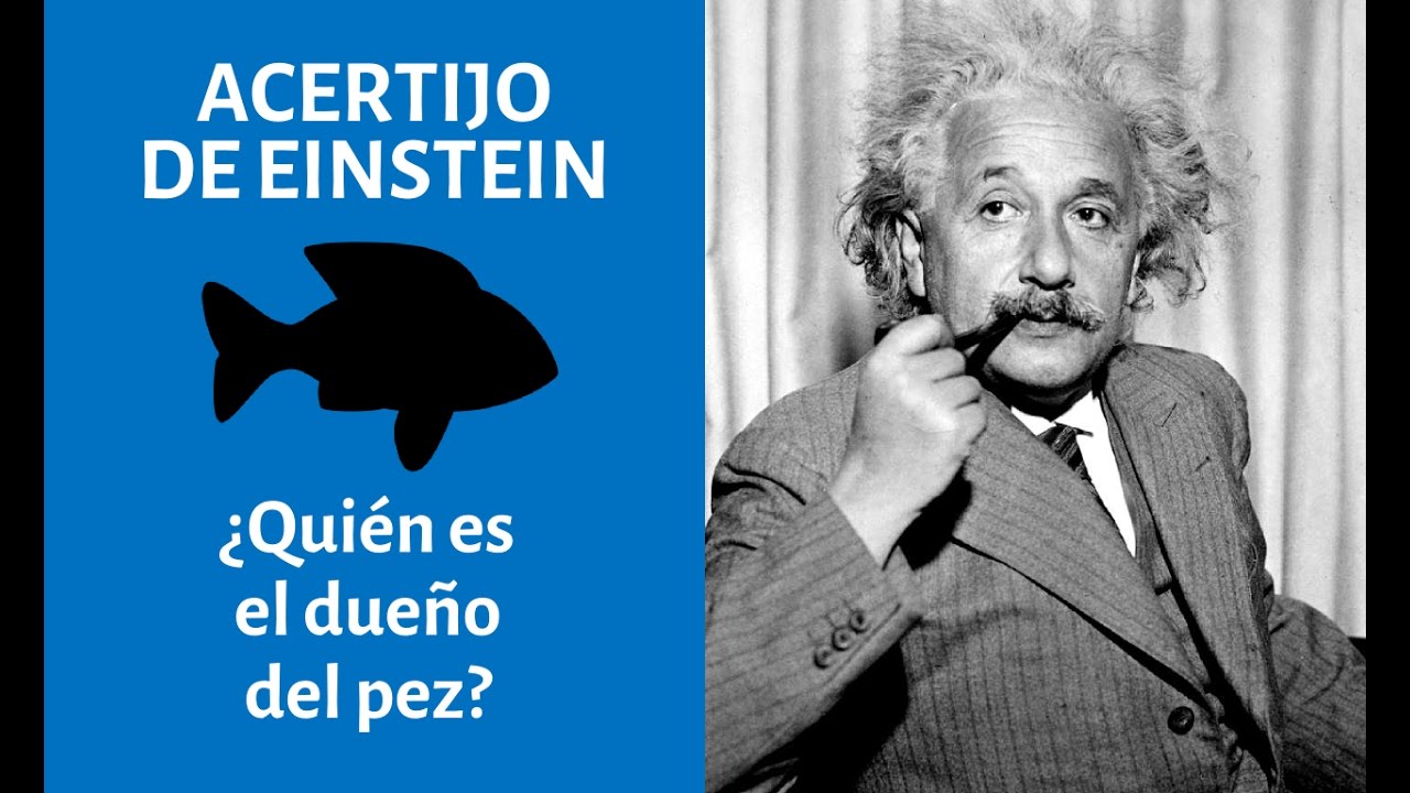  El 'acertijo de Einstein': un desaf&iacute;o que s&oacute;lo el 2 por ciento del mundo es capaz de resolver