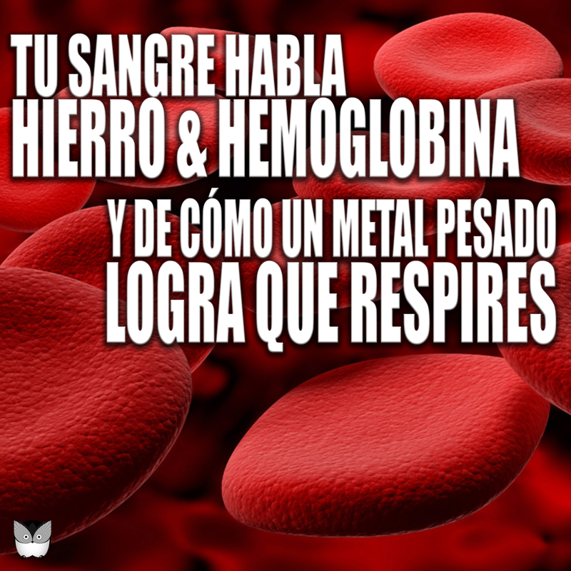 HIERRO HEM&Iacute;NICO Y HEMOGLOBINA &iquest;QU&Eacute; SON?