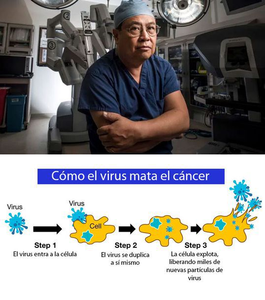 Descubren un virus que mata todos los tipos de c&aacute;ncer conocidos