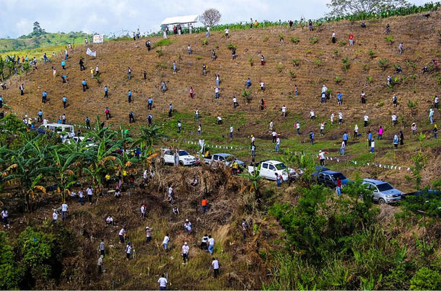 R&eacute;cord Mundial. En Filipinas plantan 3.2 millones de &aacute;rboles en una hora