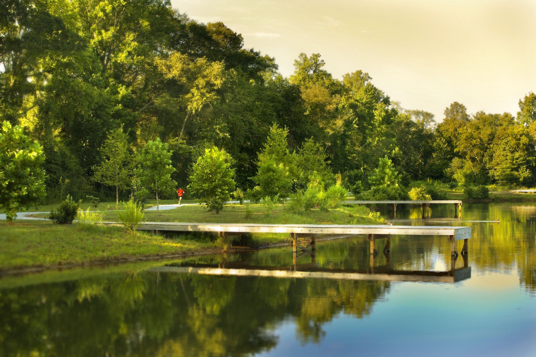 Can green, open spaces make you healthier?