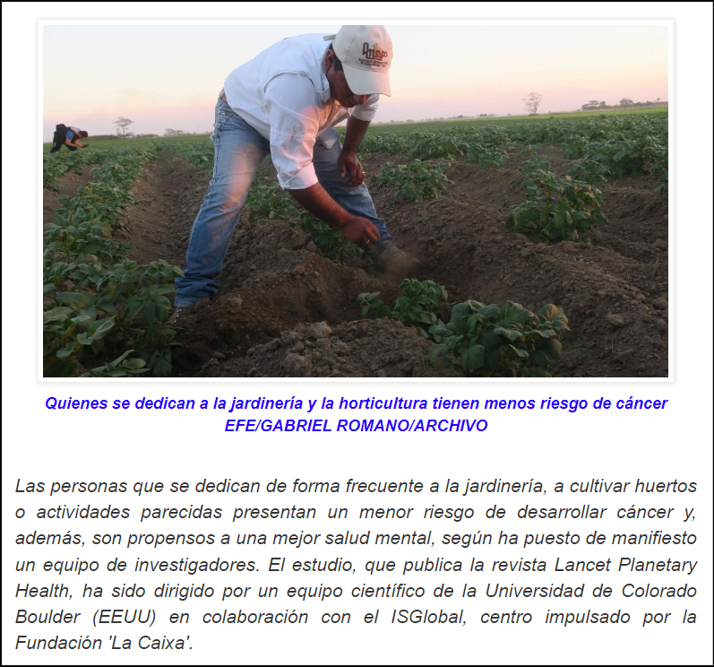 Cultivando huertos se tiene menos riesgo de c&aacute;ncer y mejor salud mental