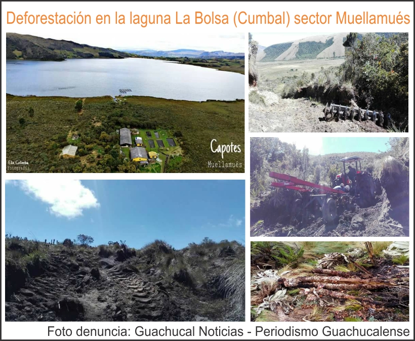 Deforestaci&oacute;n en la Laguna la Bolsa (Cumbal) sector de Muellamu&eacute;s