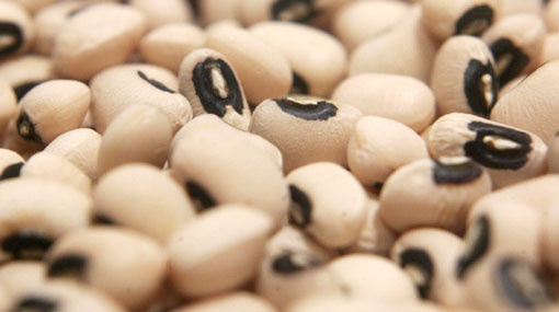 Los frejoles, un arma para combatir la diabetes