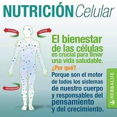 MEJORA LA SALUD , ES  MUY FACIL