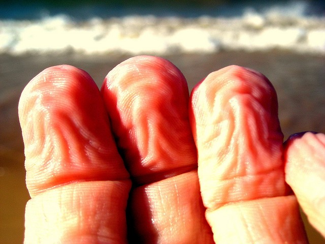 Descubrieron para qu&eacute; son &uacute;tiles los dedos arrugados en el agua