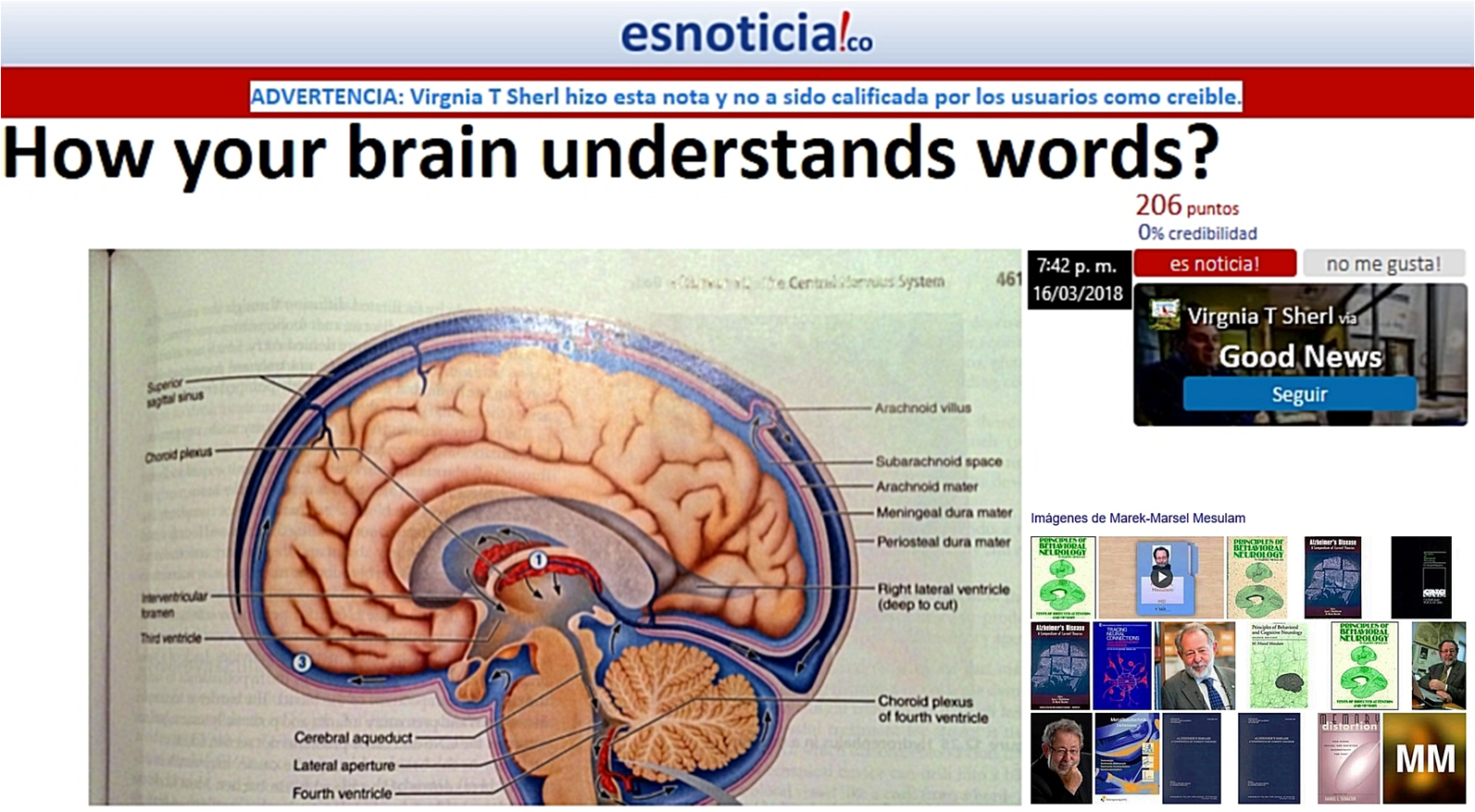 &iquest;C&oacute;mo entiende tu cerebro las palabras? (Traducci&oacute;n)