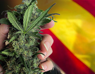 Barcelona primera ciudad espa&ntilde;ola en legalizar la marihuana