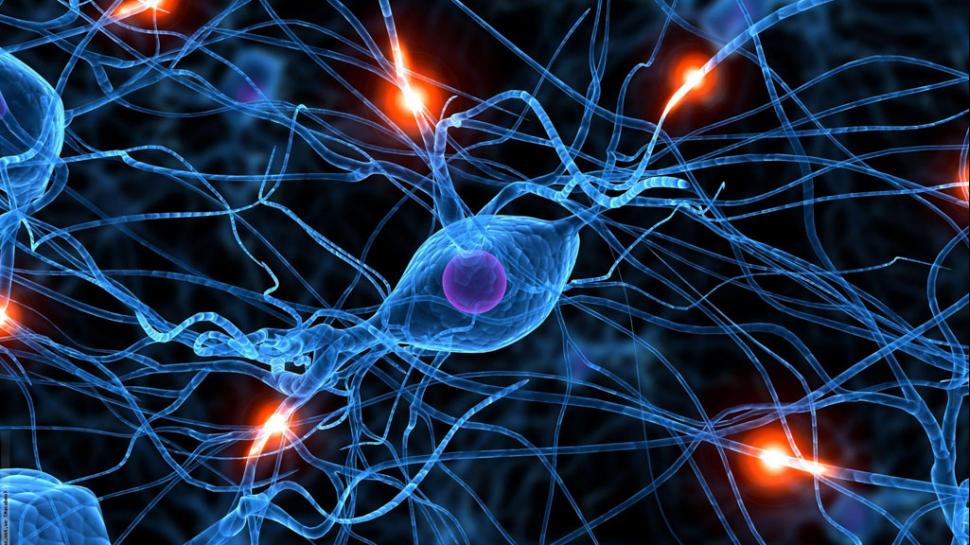 Gran hallazgo: un f&aacute;rmaco activado con luz mata solo las c&eacute;lulas cancerosas