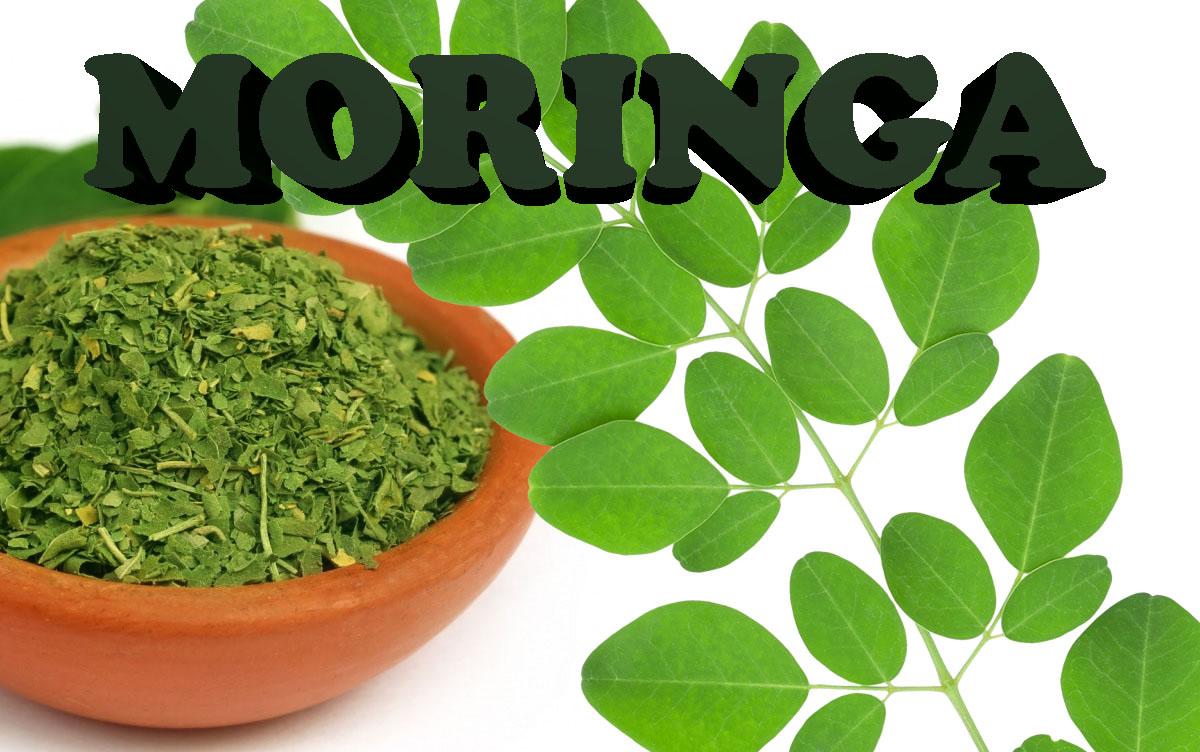 &iquest;Sabes para qu&eacute; sirve la famosa "moringa?