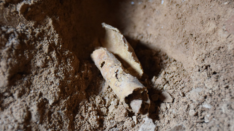 Hallazgo de dimensiones b&iacute;blicas: Hallan otra cueva de los Manuscritos del mar Muerto: