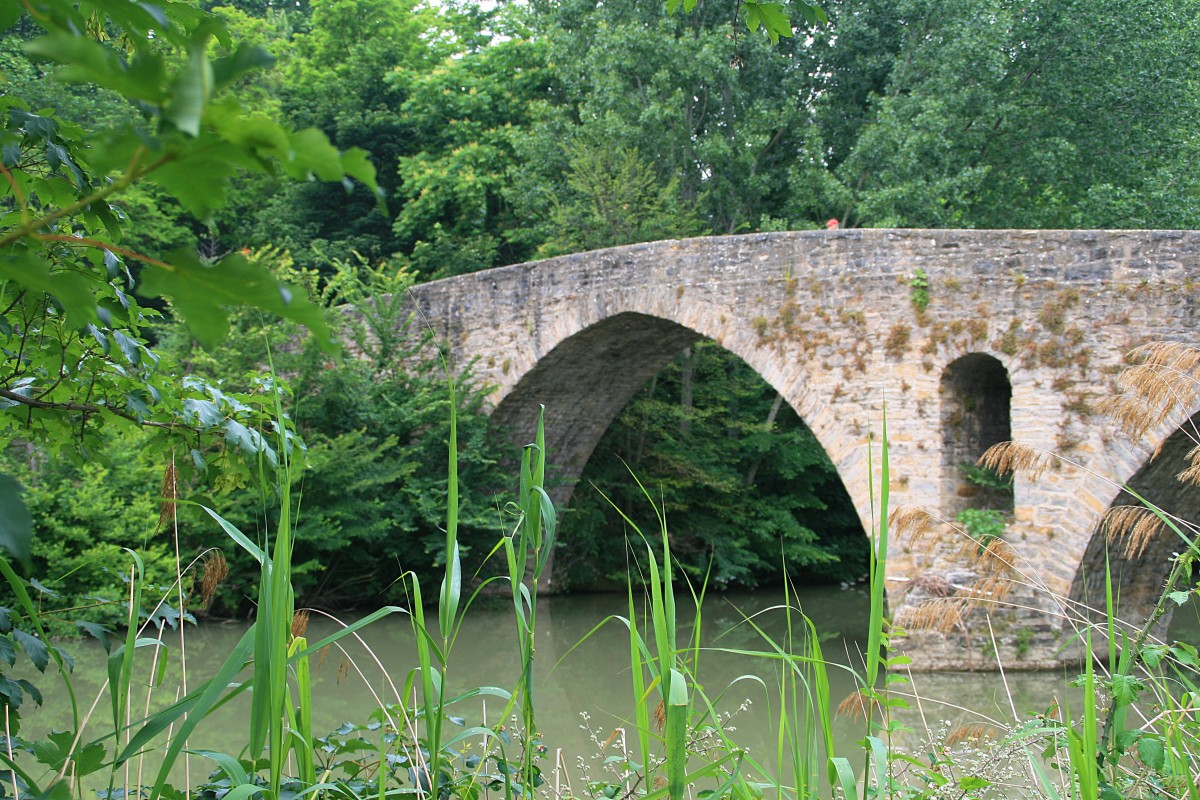 El Camino de Santiago Franc&eacute;s, vive una experiencia &uacute;nica