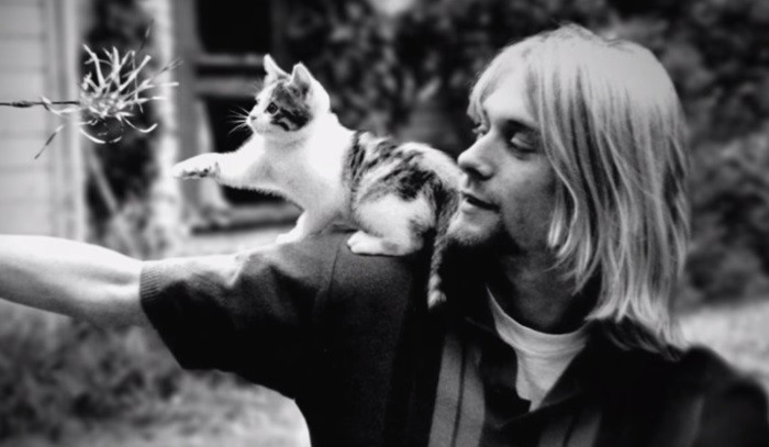 5 Datos que debes saber sobre la muerte de Kurt Cobain