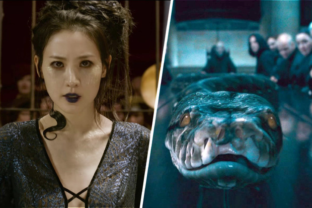 El secreto de 20 a&ntilde;os detr&aacute;s del &uacute;ltimo tr&aacute;iler de Animales Fant&aacute;sticos