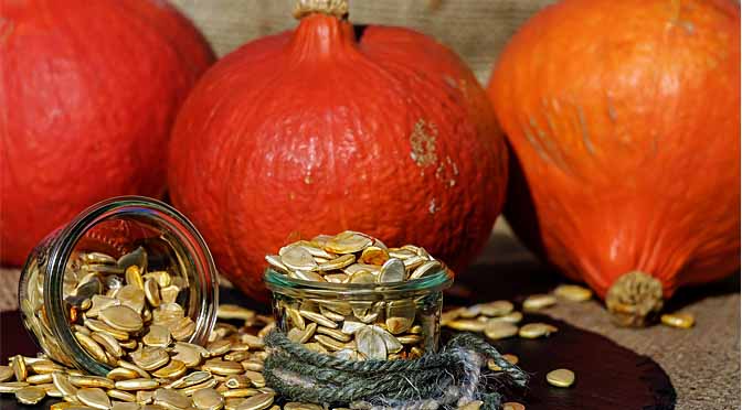 Ideales en una dieta,-&iexcl;pipas de calabaza.!