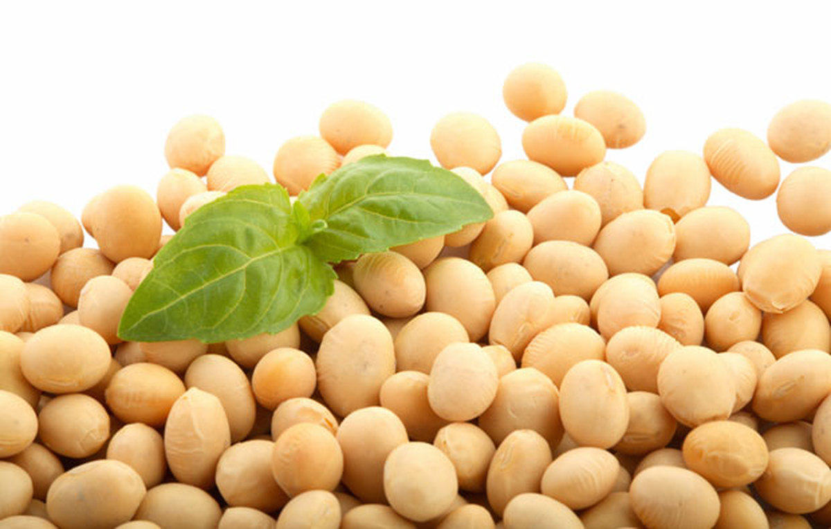 No consumas estos alimentos inflamatorios si padeces de fibromialgia, artritis o dolores musculares