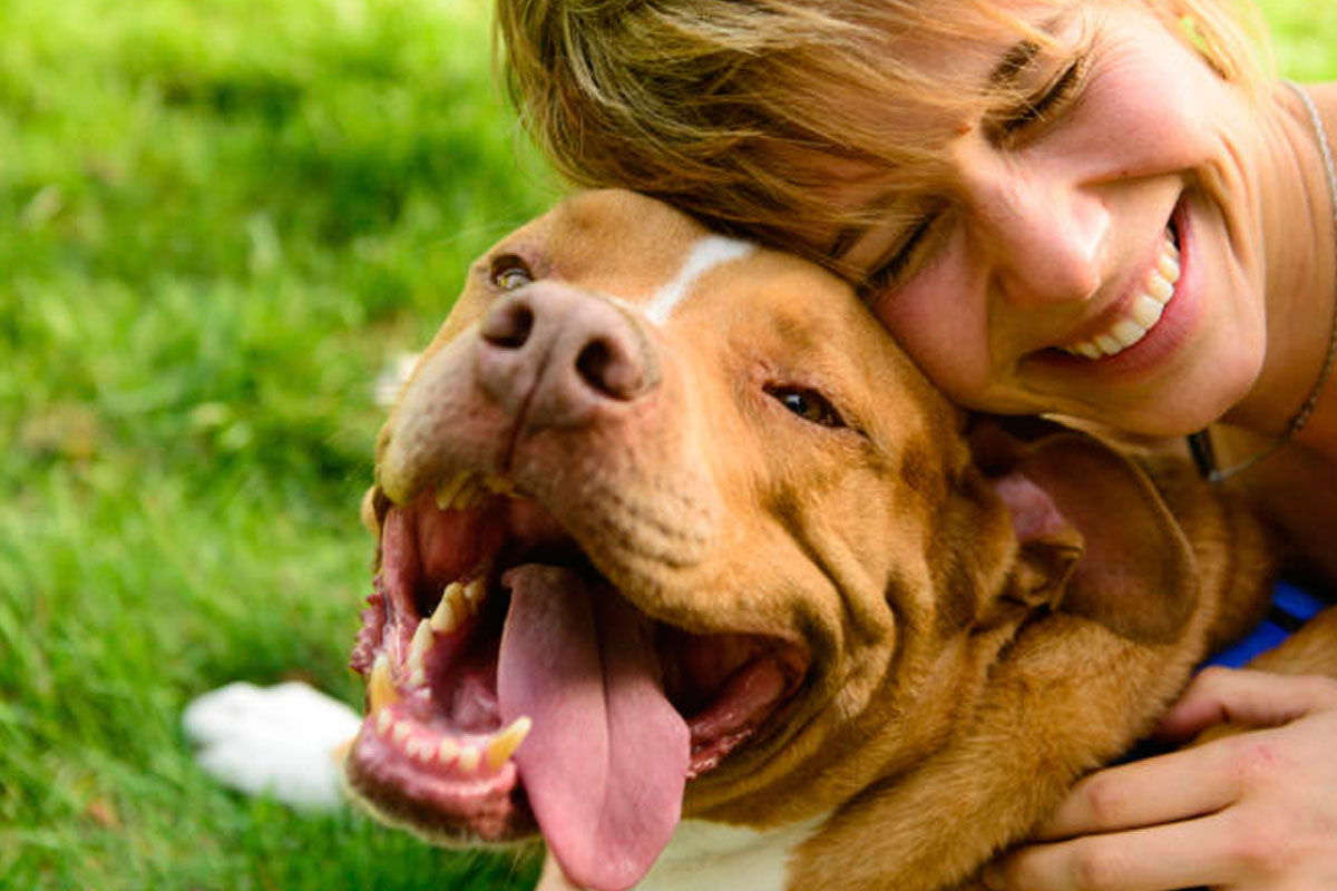 Seg&uacute;n estudio, los perros quieren que los humanos sean felices