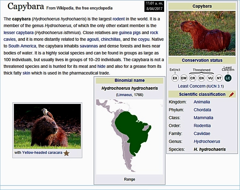 la naturaleza es muy sabia