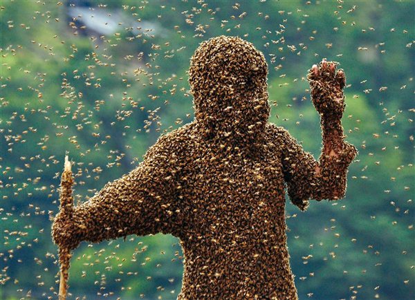 UN TRAJE DE ABEJAS