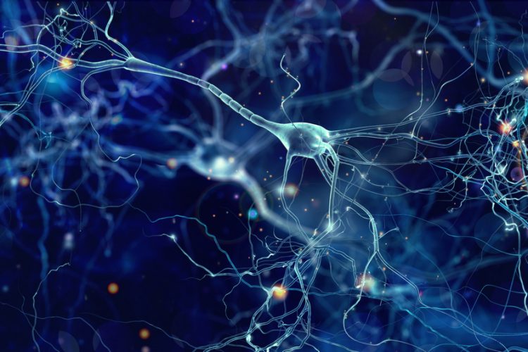 Genetic material may help with early Alzheimer's detection