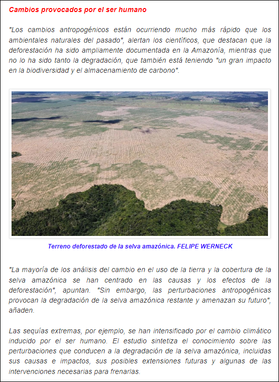 M&aacute;s y m&aacute;s alarmas sobre la destrucci&oacute;n del "amazonas": La selva amaz&oacute;nica al borde del colapso