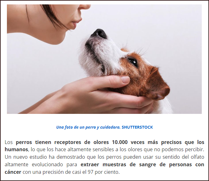  Los perros son capaces de detectar el c&aacute;ncer en los humanos