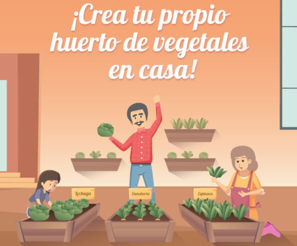 &iexcl;Crea tu propio huerto de vegetales en casa!