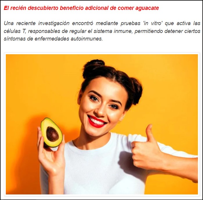  El aguacate, ese imprescindible manjar que aporta grandes beneficios a nuestra salud