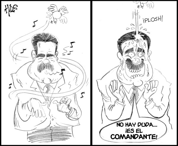 De que se cae, se cae