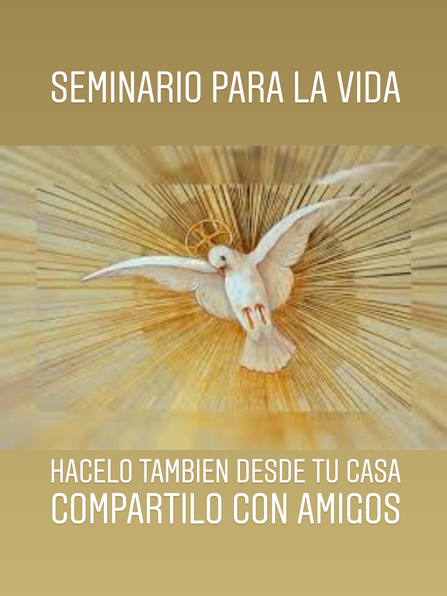 SEMINARIO PARA LA VIDA