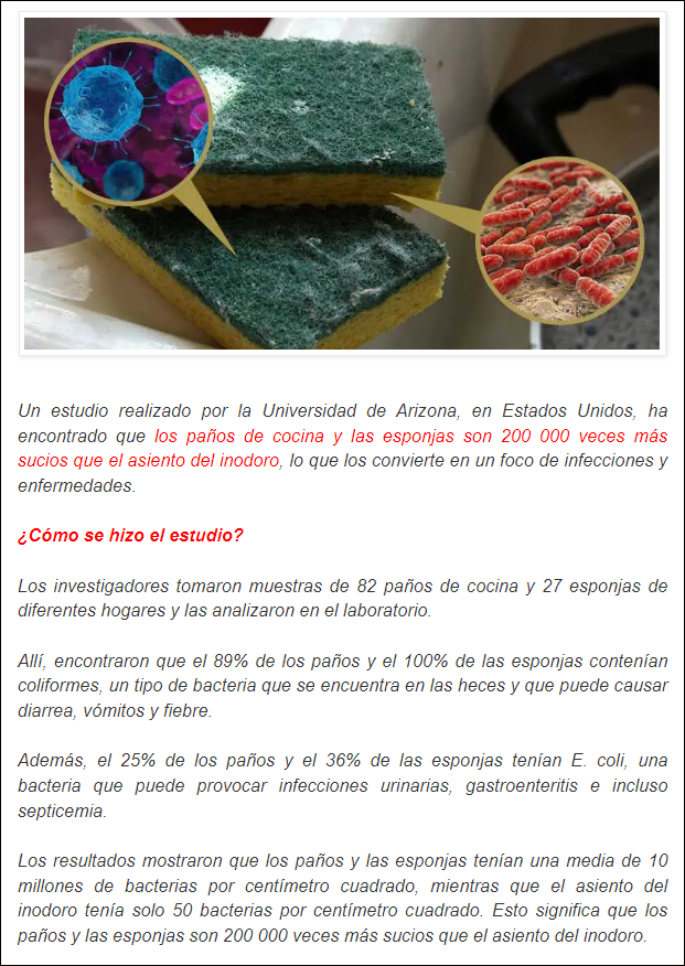 Cuidado con los pa&ntilde;os de cocina y las esponjas pues podr&iacute;an estar llenos de bacterias y g&eacute;rmenes