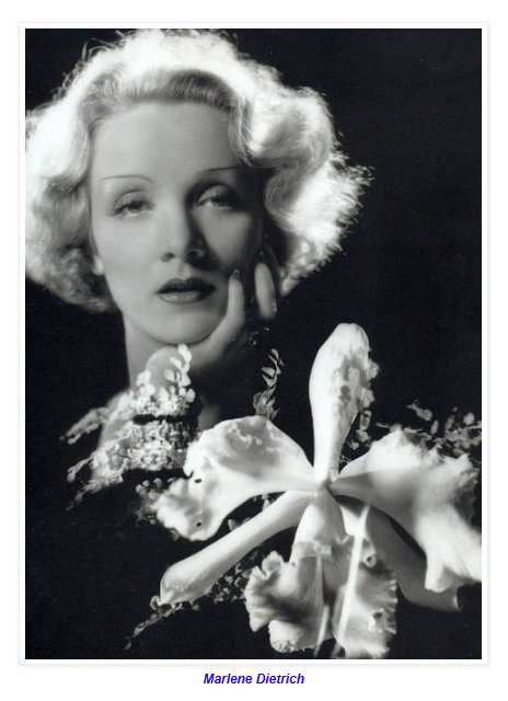  Elegancia vintage