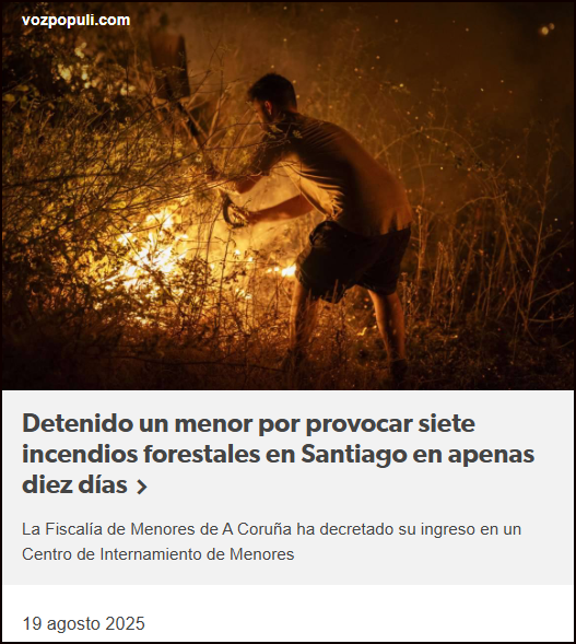  Detenido un menor por provocar siete incendios forestales en Santiago en apenas diez d&iacute;as