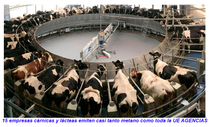  Las quince empresas c&aacute;rnicas y l&aacute;cteas que m&aacute;s contaminan en el mundo