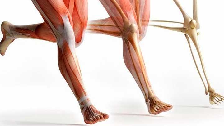  Licuado regenerador de tendones y ligamentos