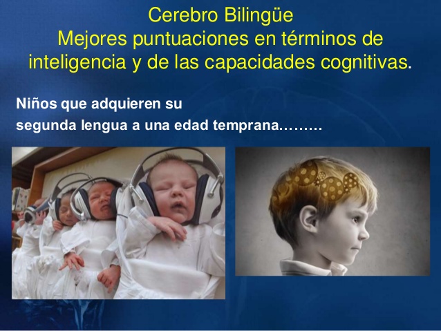  &iquest;C&oacute;mo funciona el cerebro de una persona biling&uuml;e?