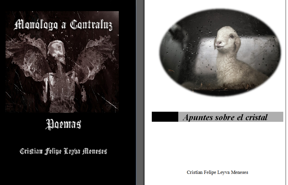  Cristian Leyva, poeta irreverente de la nueva sangre Colombiana 