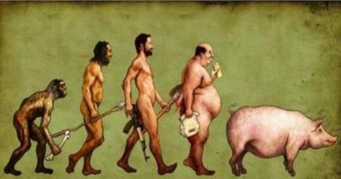 Somos lo que comemos. La comida dictamina tu evoluci&oacute;n en la vida