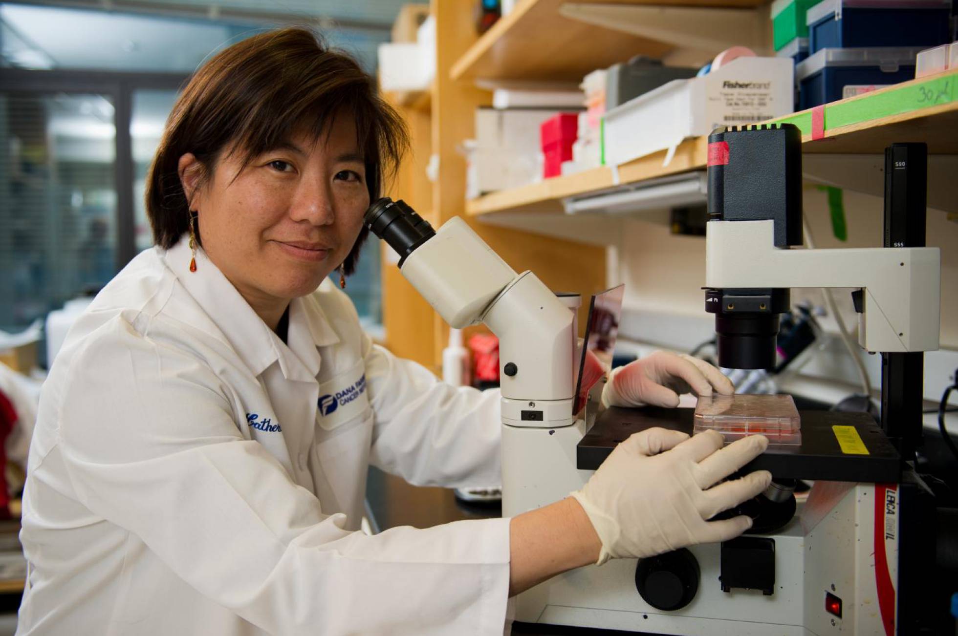 Nuevas investigaciones permiten desarrollar una eficaz vacuna contra el c&aacute;ncer