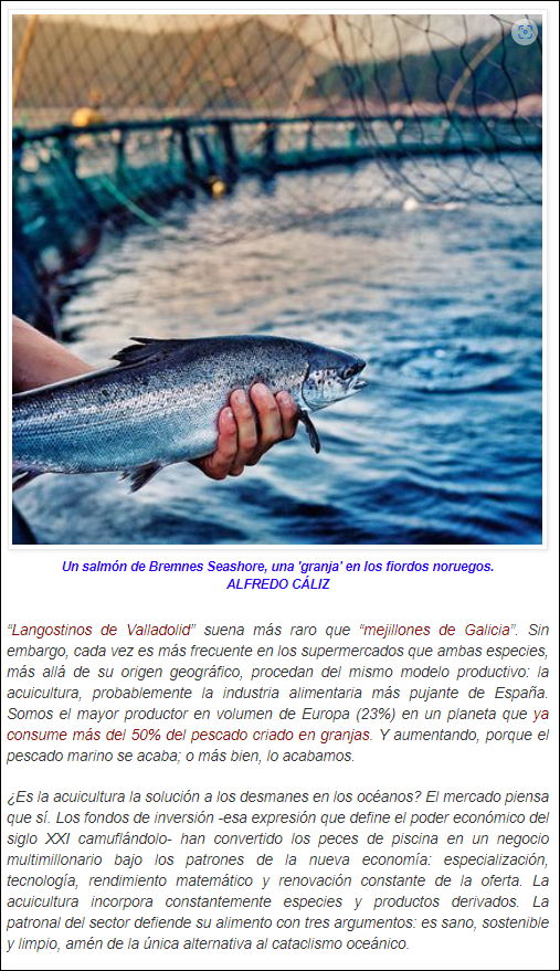  Pescado de acuicultura - Uno de los grandes dilemas del siglo
