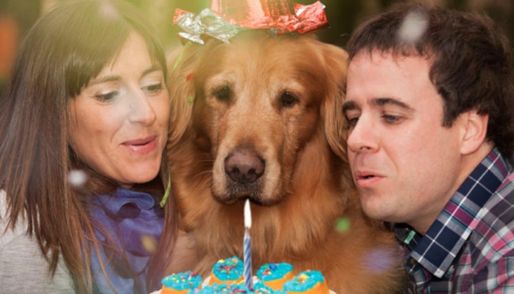 Seg&uacute;n estudio, tratar a tu perro como un hijo podr&iacute;a ser se&ntilde;al de trastornos mentales