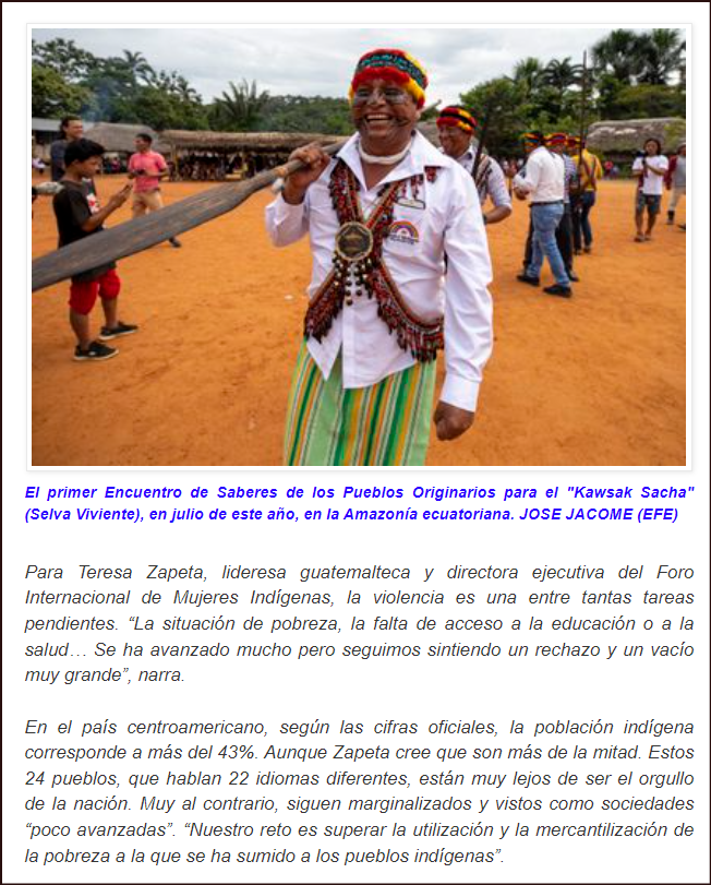  En el d&iacute;a internacional de los pueblos originarios dicen: "Basta de hablar por nosotros"