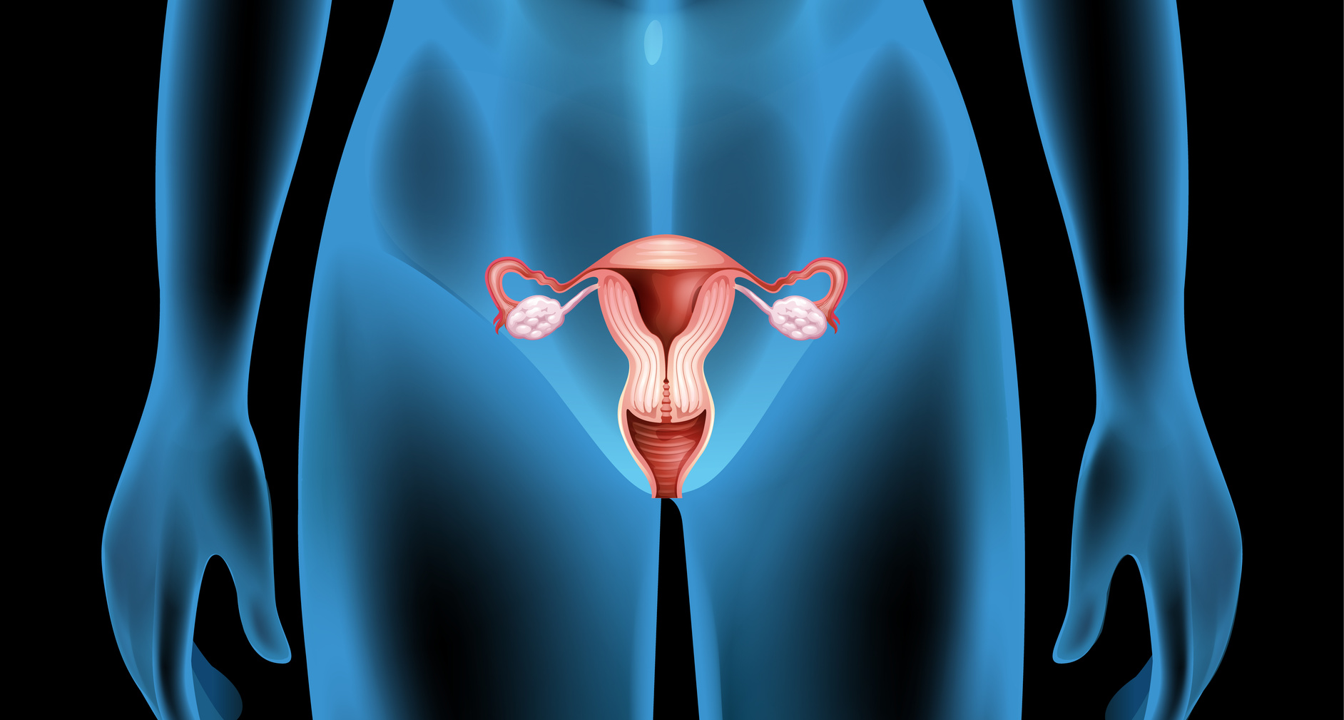 Rejuvenecimiento de ovarios permitir&aacute; a las mujeres de edad avanzada quedar embarazadas