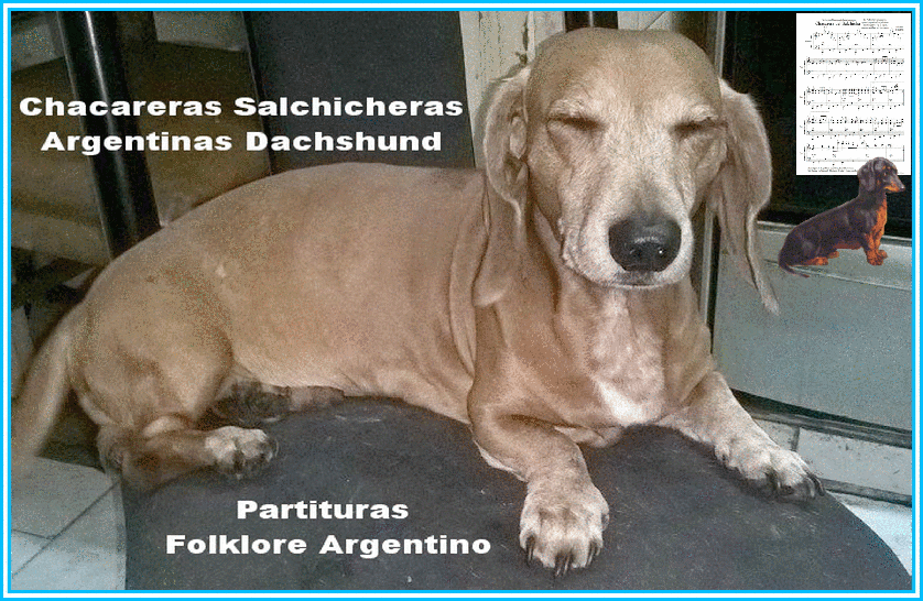 Chacareras Salchicheras Argentinas Dachshund Folklore Nuevo Canal You Tube