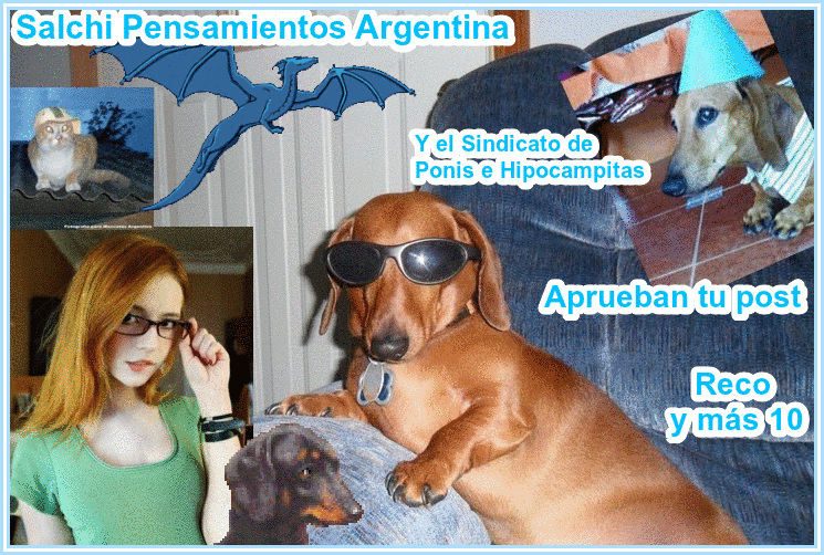 Prohibici&oacute;n, Proscripci&oacute;n y Censura a Salchi Pensamientos Dachshund Argentina - Verg&uuml;enza Mundial